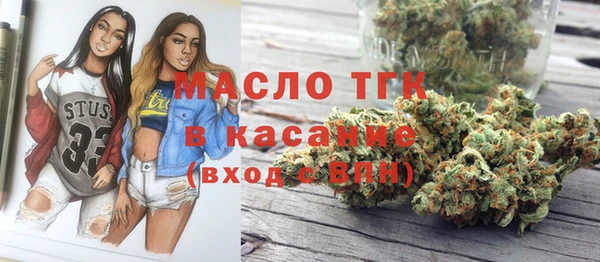 тгк Няндома