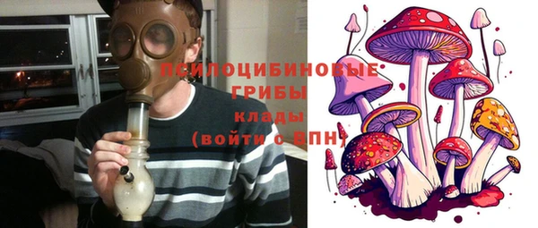 тгк Няндома