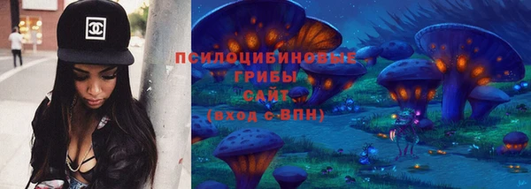 Альфа ПВП Нягань